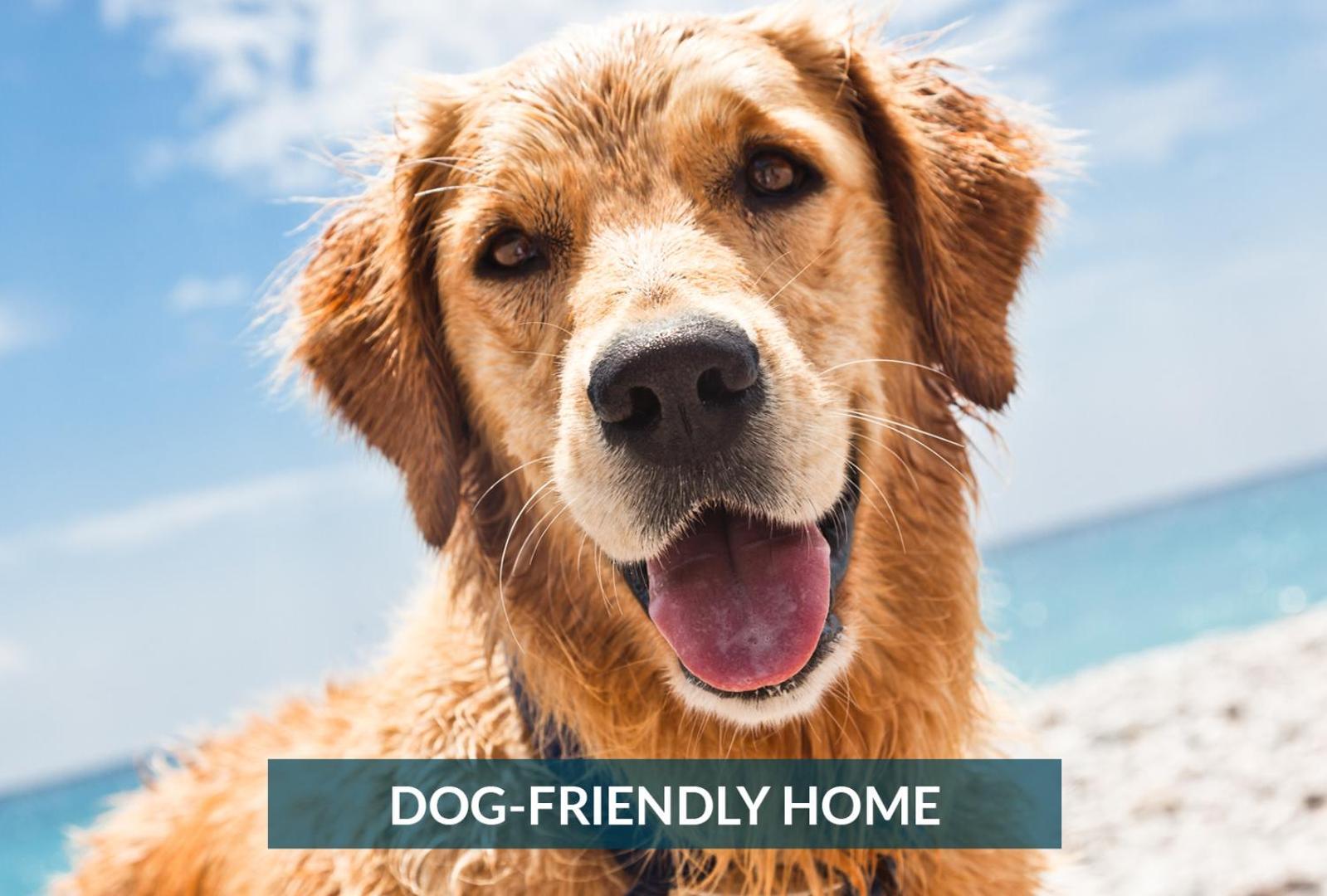 4011 The Dogs House 2 Min Walk To Beach 奇蒂豪克 外观 照片